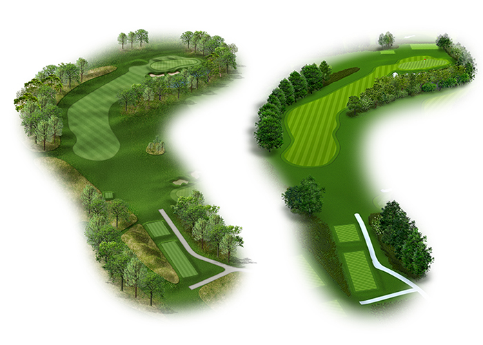 Golf 3D Model