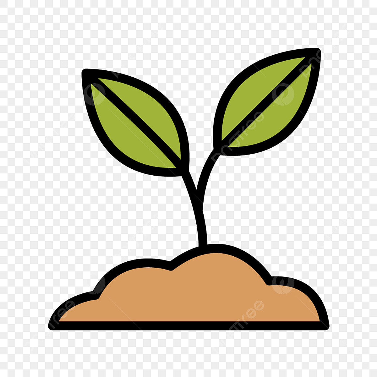 Placement of Vegetation